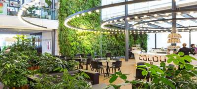 De routekaart naar toekomstbestendig vastgoed - Young Group