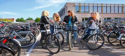 Studiebegeleiding: groei binnen een vertrouwde omgeving - Young Group