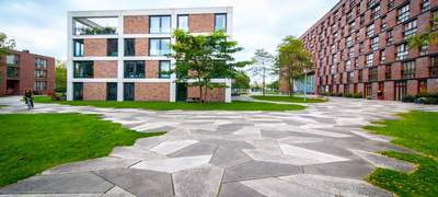 5x de kracht van de Huismeester van YF - Young Group